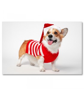 Cuadro perro navidad con gorro y rayas rojas