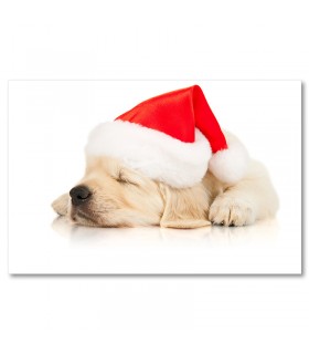 Cuadro cachorro navidad durmiendo con gorro rojo