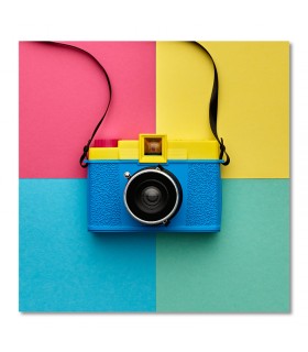 Cuadro cámara vintage de colores