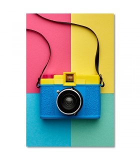 Cuadro cámara vintage de colores