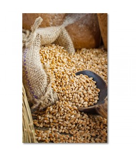 Cuadro panaderia grano