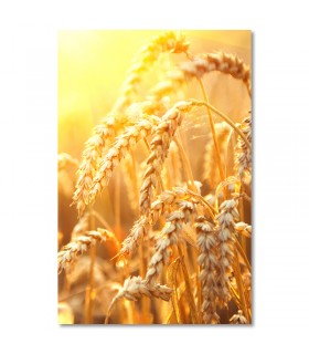 Cuadro espigas doradas