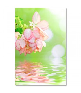 Cuadro flores rosa sobre agua