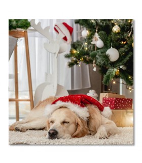 Cuadro perro navidad
