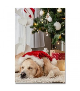 Cuadro perro navidad