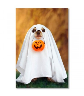 Cuadro perro fantasma Halloween