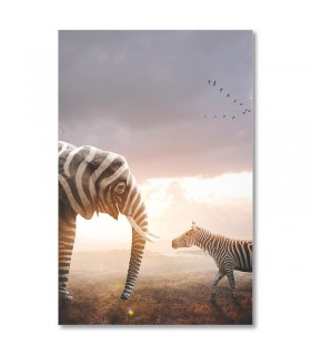 Cuadro elefante cebra al atardecer
