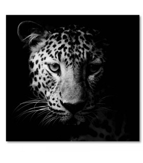Cuadro leopardo blanco y negro