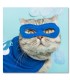 Cuadro gato superheroe