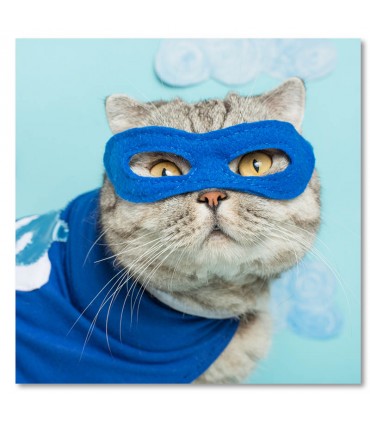 Cuadro gato superheroe