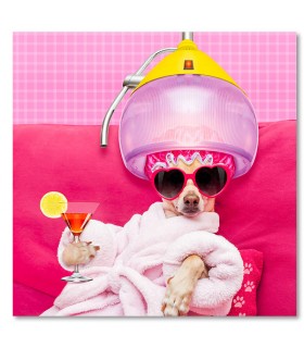 Cuadro perro spa rosa