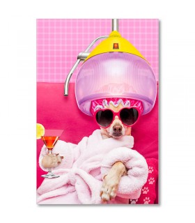 Cuadro perro spa rosa