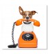 cuadro perro teléfono naranja