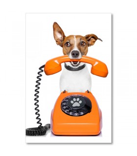 cuadro perro teléfono naranja