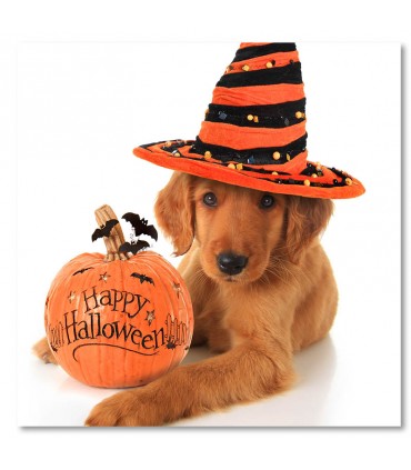 Cuadro perro Halloween con calabaza