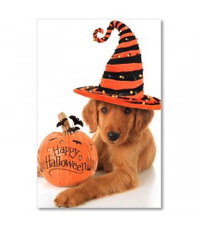 Cuadro perro Halloween con calabaza