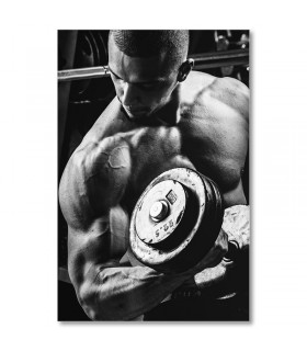 Cuadro bíceps con mancuerna