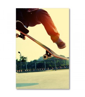 Cuadro skate salto
