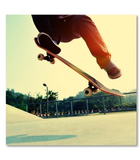 Cuadro skate salto