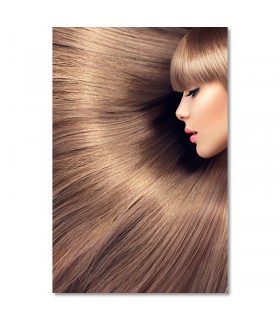 Cuadro peluqueria cabello liso marron para salones y academias