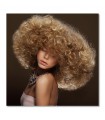 Cuadro peluqueria melena rubia rizada para salones y barberias