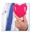 Cuadro sanidad corazón en mano médica