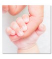 Cuadro sanidad mano de bebe y madre